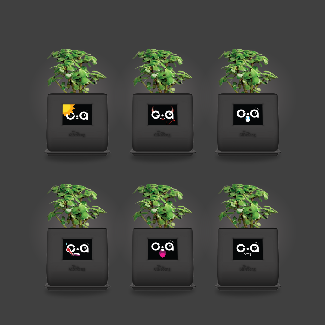 GIAxJade