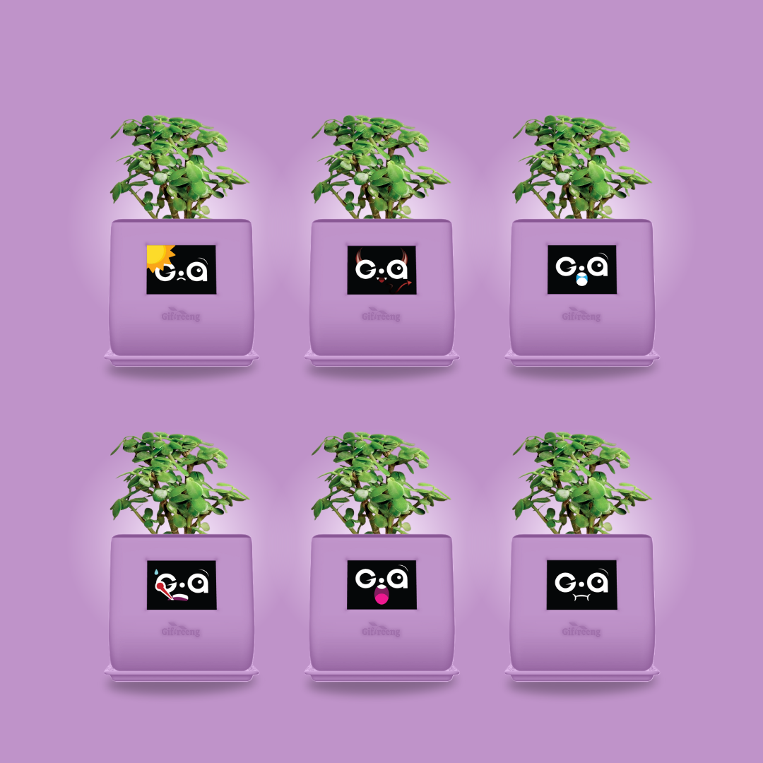GIAxJade